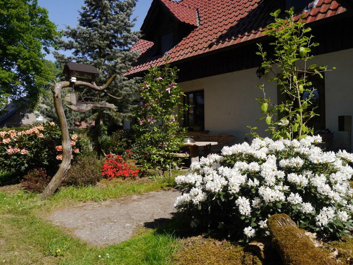 Fewo Lutterow Rheinsberg Esterno foto